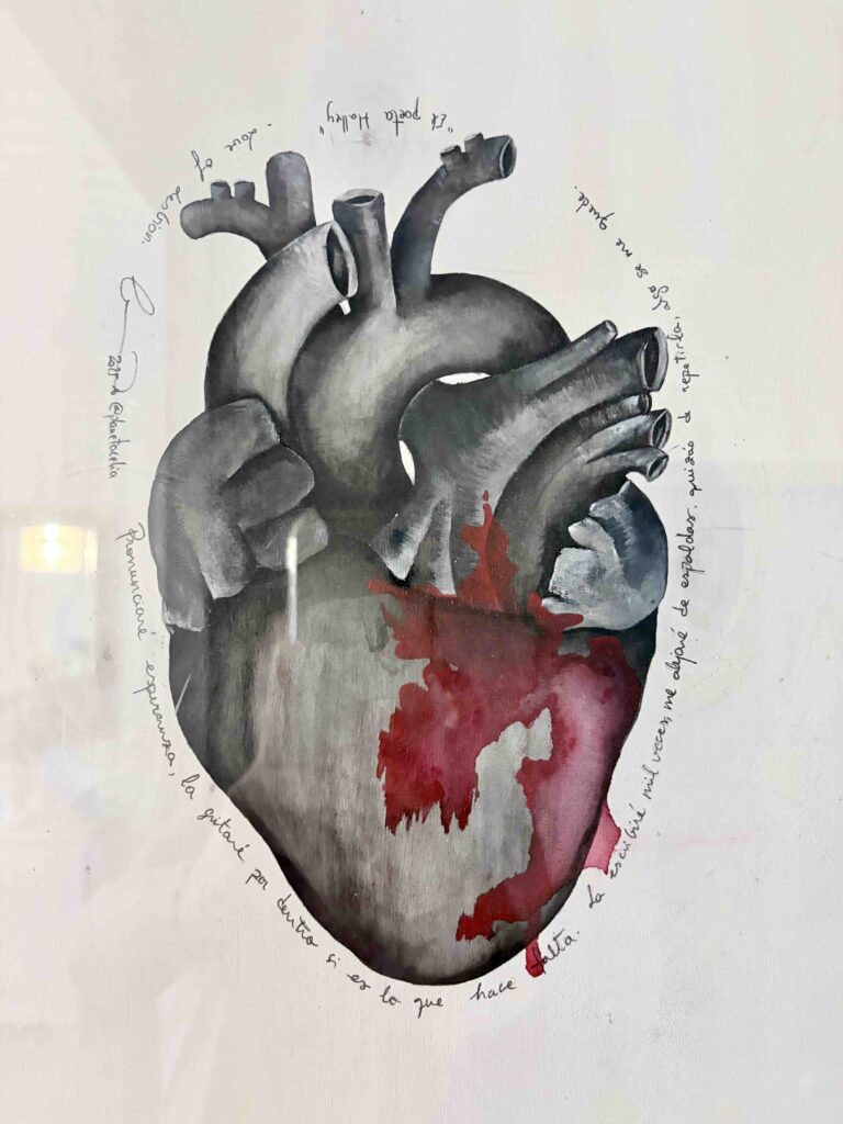 corazon anatomico_celia